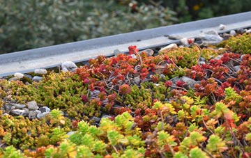the cost of Sutterton green roof installation