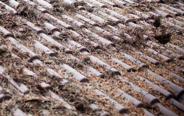 Sutterton roof cleaning companies